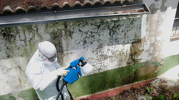 Top rated local Mold Inspection specialists in Warriors Mark, PA